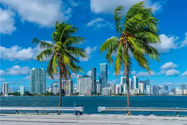 Coqueiros e vista para o mar em Miami