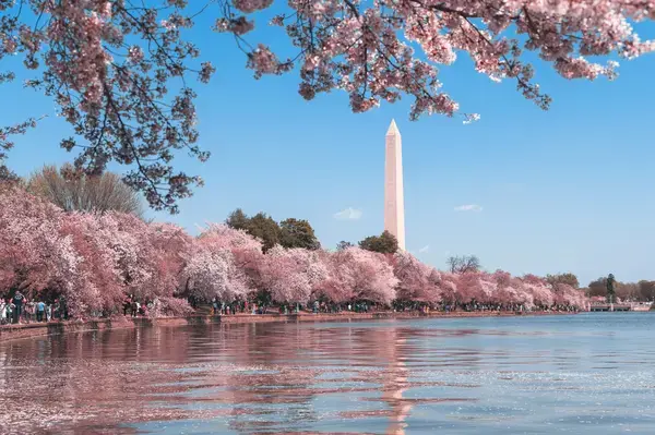 washinton DC, a capital dos EUA