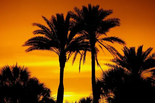 Imagem do por do sol em Orlando, na Flórida