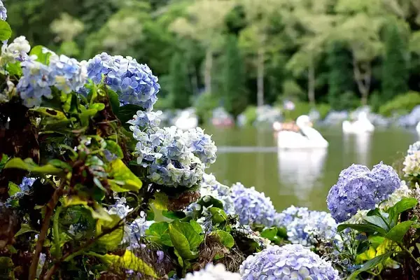 lago negro, em Gramado, Rio Grande do Sul