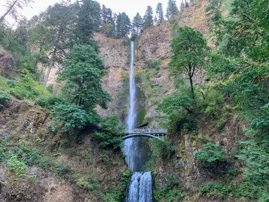 cachoeira no meio da floresta