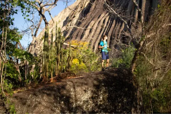 Nel olhando a paisagem de cima de uma pedra