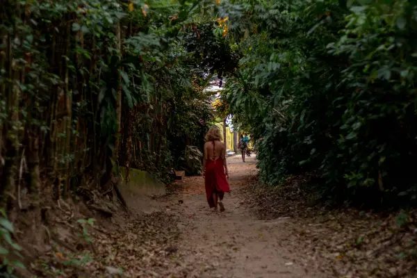 caminho com árvores em morro de são paulo