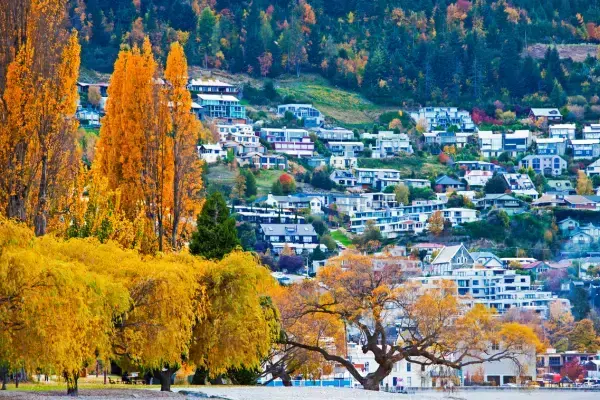 Casas e árvores de Queenstown, cidade da Nova Zelândia