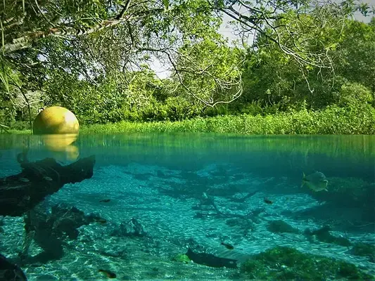 imagem do rio na cor azul e verde com um raio de sol refletido na água