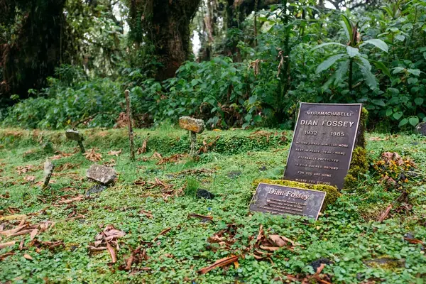Placa em homenagem a primatologista Dian Fossey no Parque Nacional dos Vulcões, em Ruanda