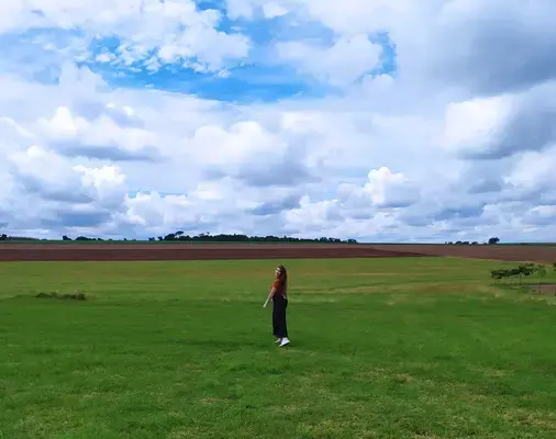 Campo destinado para a plantação de flores em Holambra