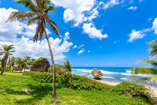 Rock formation on the beach of Bathsheba, East coast of island Barbados, Caribbean Islands - travel destination for vacation