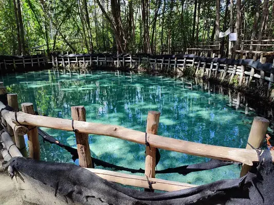 um corpo de agua cristalinas cercado por arvores