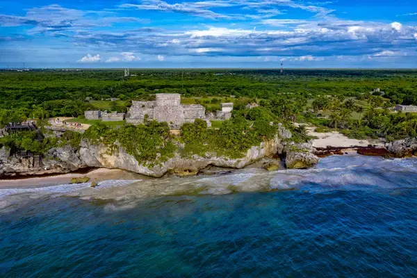costa marinha na cor azul claro com golfinhos nadando
