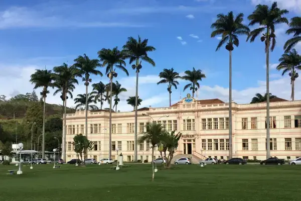 imagem verdejante mostrando um prédio marrom e em torno palmeiras