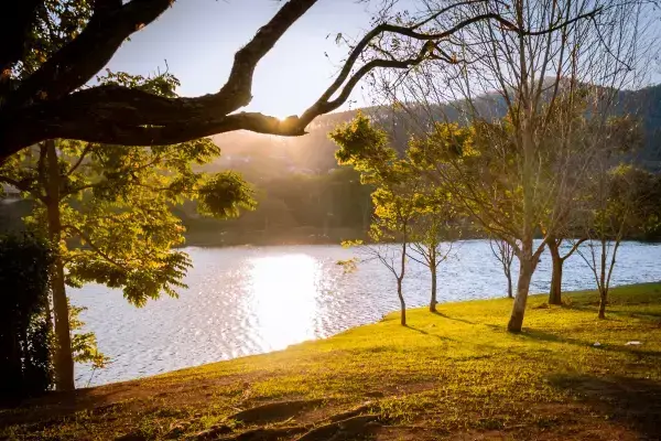Rio e árvores em Itatiba, São Paulo