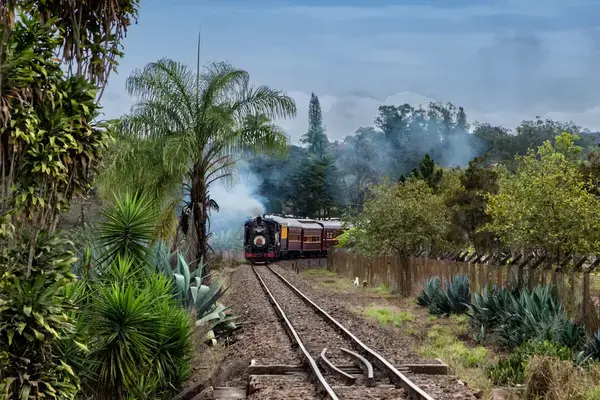 Maria Fumaça em Campinas, São Paulo