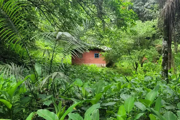 Casa na trilha das 7 praias