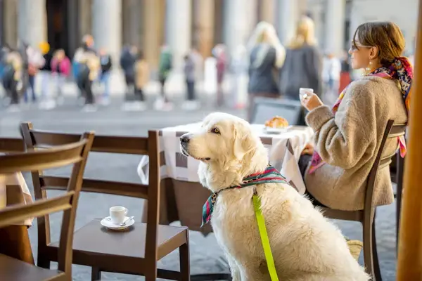 cachorro amarelo ao lado de uma cadeira e de uma moça que aprecia um bom café