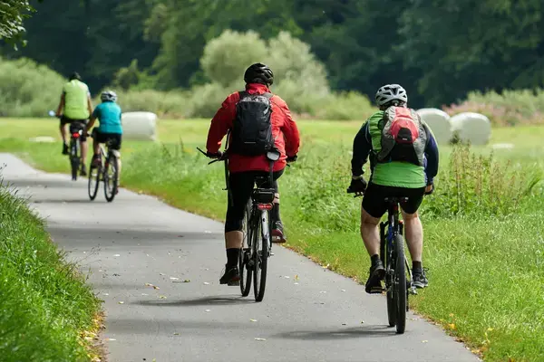 duas pessoas andando de bicicleta em uma estrada arborizada