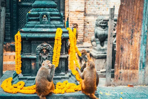 Templo de Swayambhunath em Katmandu, Nepal (Fonte, Unsplash)