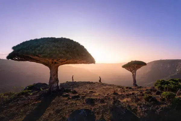 Ilha de  Socotra, no Iêmen (Fonte: Unsplash)