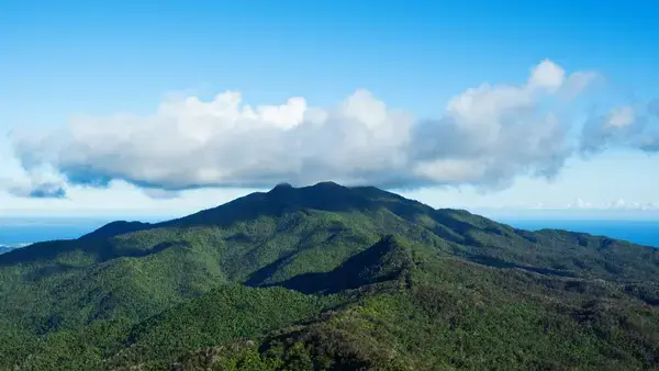 El Yunque, Porto Rico (Fonte: Unsplash)