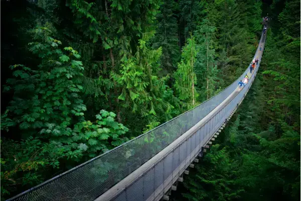 Ponte suspensa de Capilano, parque no Canadá