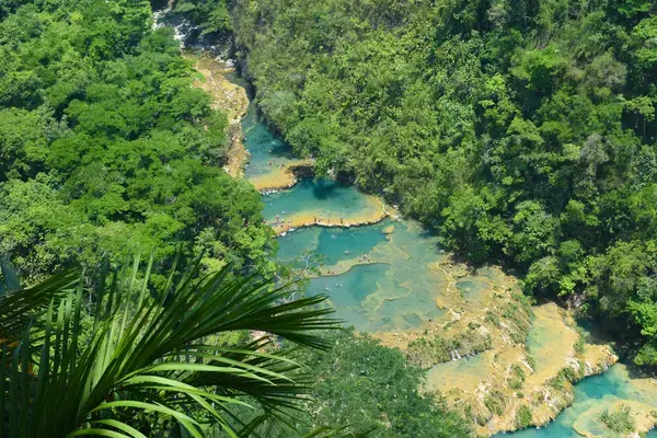 um rio no meio de uma floresta verde exuberante