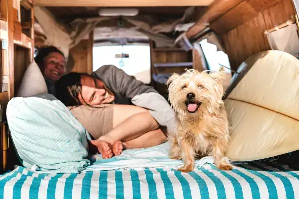 Casal em motorhome com seu pet