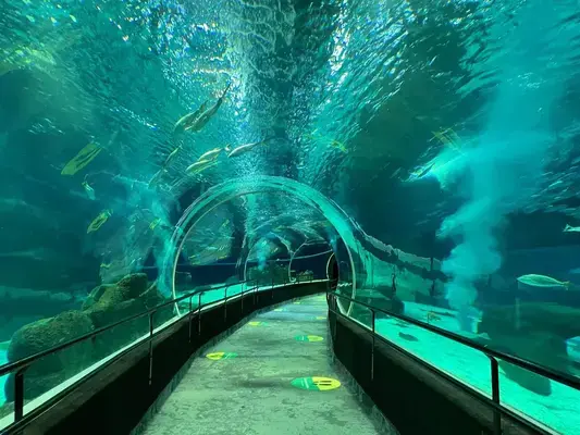 AquaRio (Fonte: Reprodução/AquaRio)