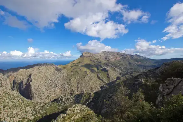 montanhas de carvalho que formam a paisagem da ilha de Maiorca