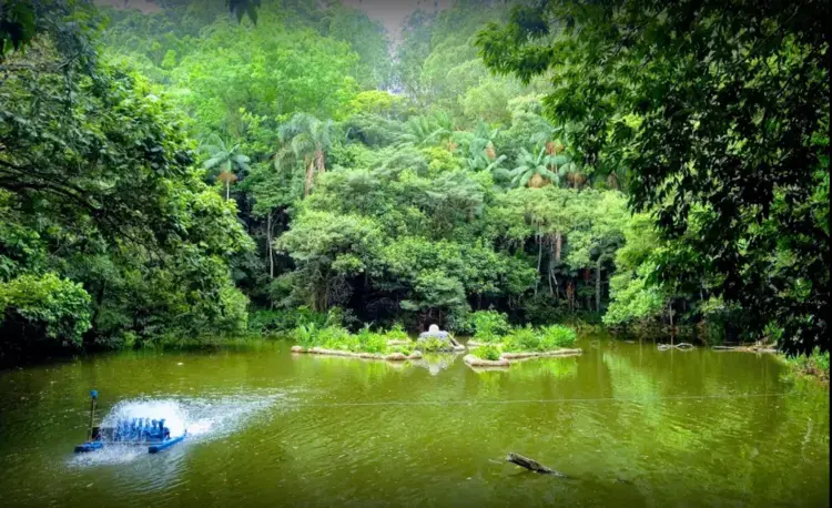 Ilhas Flutuantes no Parque Burle Marx em São Paulo (Fonte: Reprodução/Parque Burle Marx)