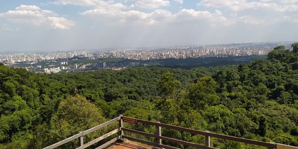 Mirante da Trilha da Pedra Grande no Parque Estadual da Cantareira (Fonte: Reprodução/Guia de Áreas Protegidas)