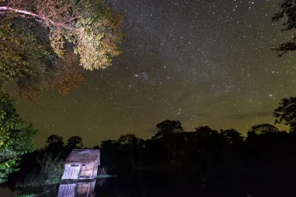 Céu estrelado da Amazônia durante a noite