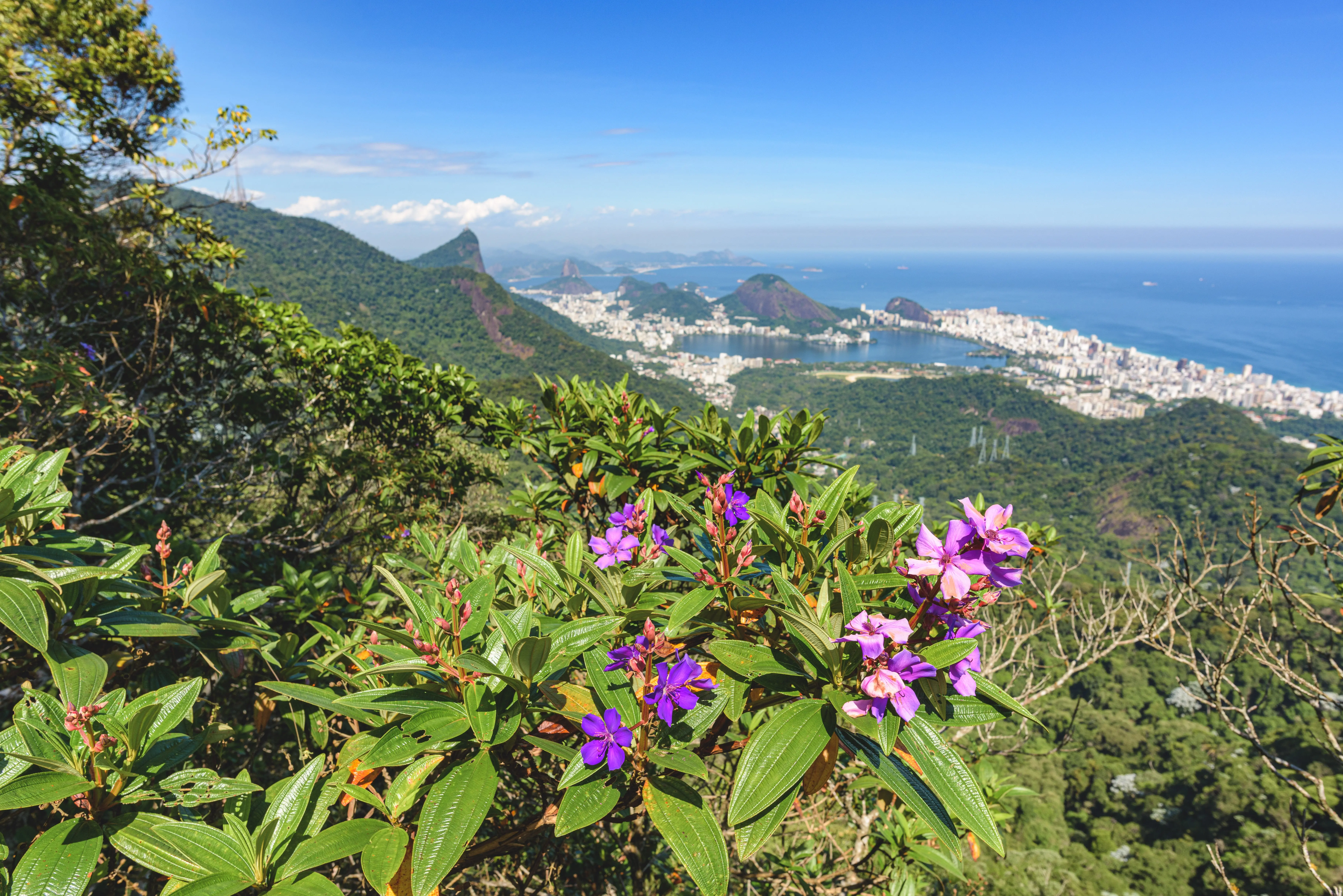 Pedra da Proa, Parque Nacional da Tijuca. A pedra fica na travessia Paineiras x Mesa do Imperador (Fonte: Adobe Stock)