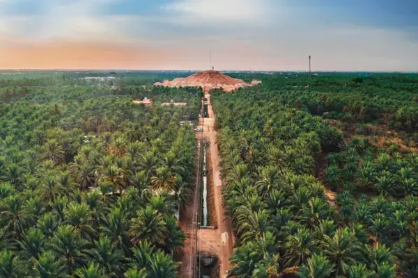 Oasis de Al-Ahsa (Fonte: Reprodução: Kingdom of Saudi Arabia/Permanent Delegation of the Kingdom of Saudi Arabia to UNESCO)