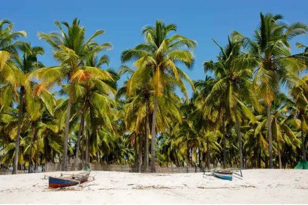 Coqueiros, areia branca e barco em praia de Moçambique