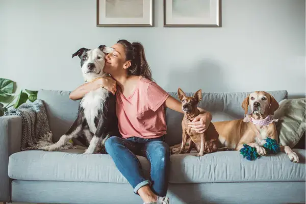 uma mulher e seus cachorros sentados em cima de um sofá cinza, todos estão felizes