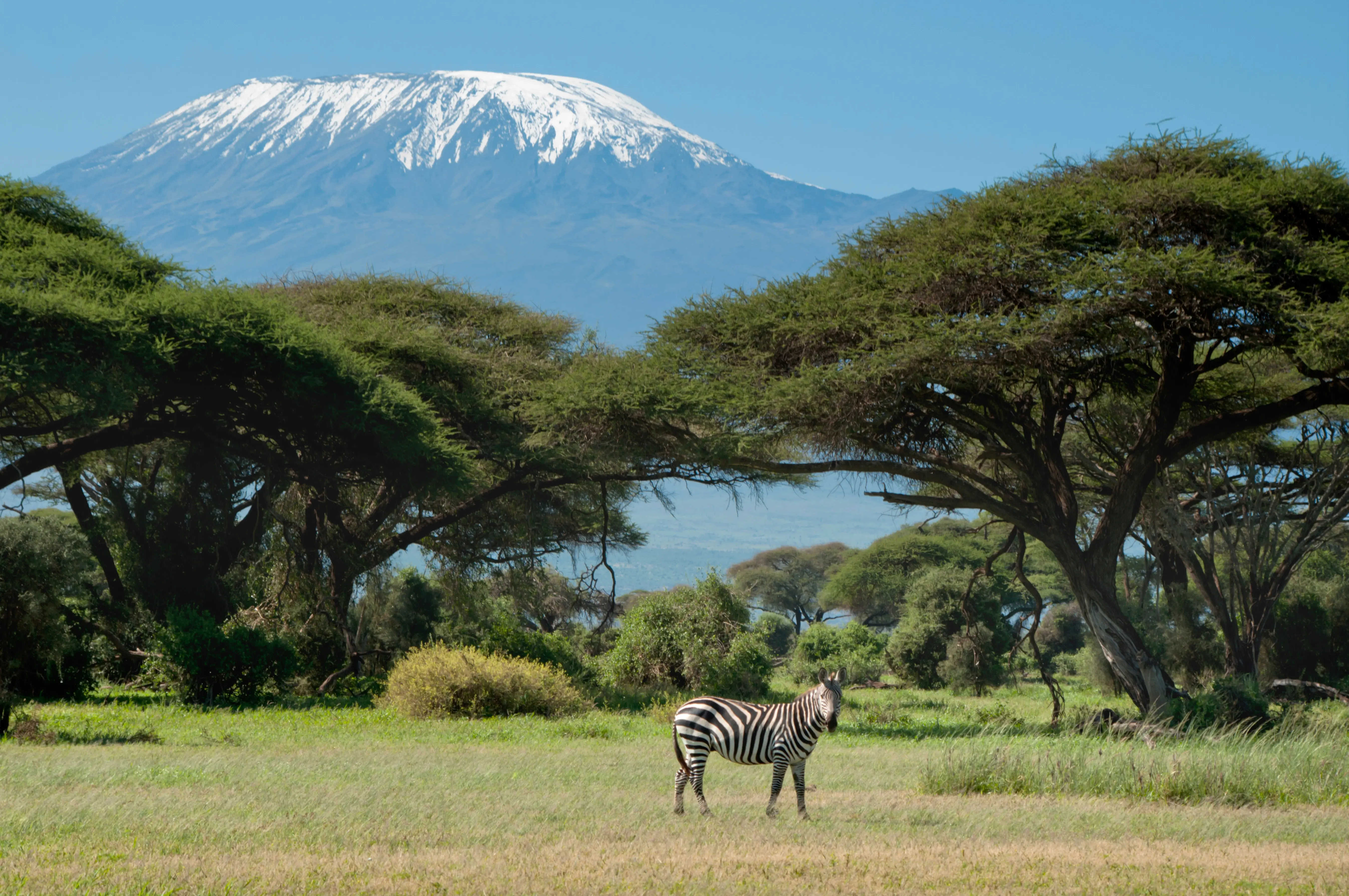 Monte Kilimanjaro (Fonte: Adobe Stock)