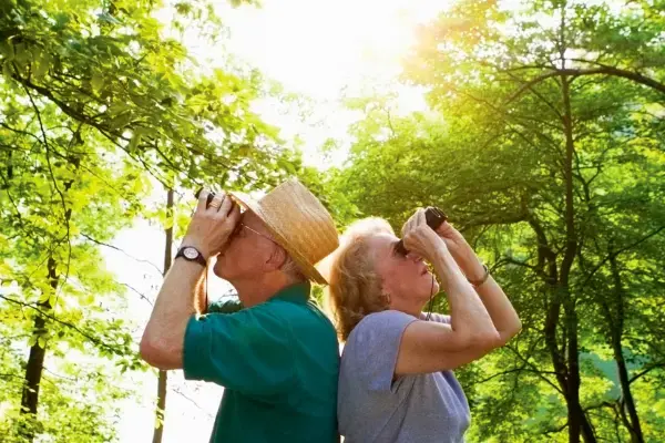 Casal de idosos com binóculos observando a natureza
