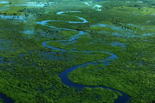 Visão aérea das áreas alagadas do Pantanal