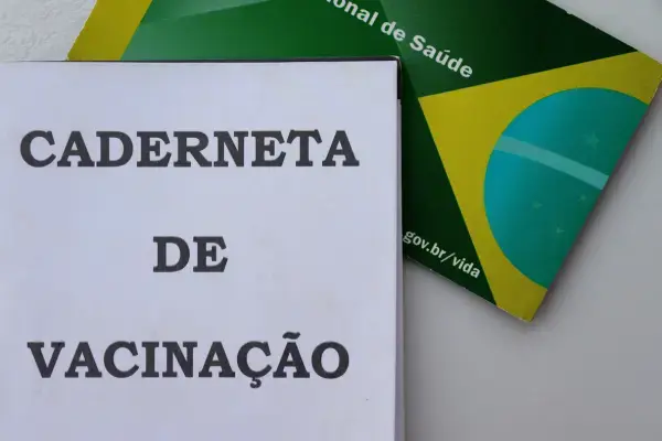 Caderneta de vacinação brasileira