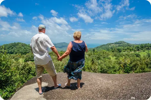 Casal de idosos segurando a mão um do outro e olhando para paisagem