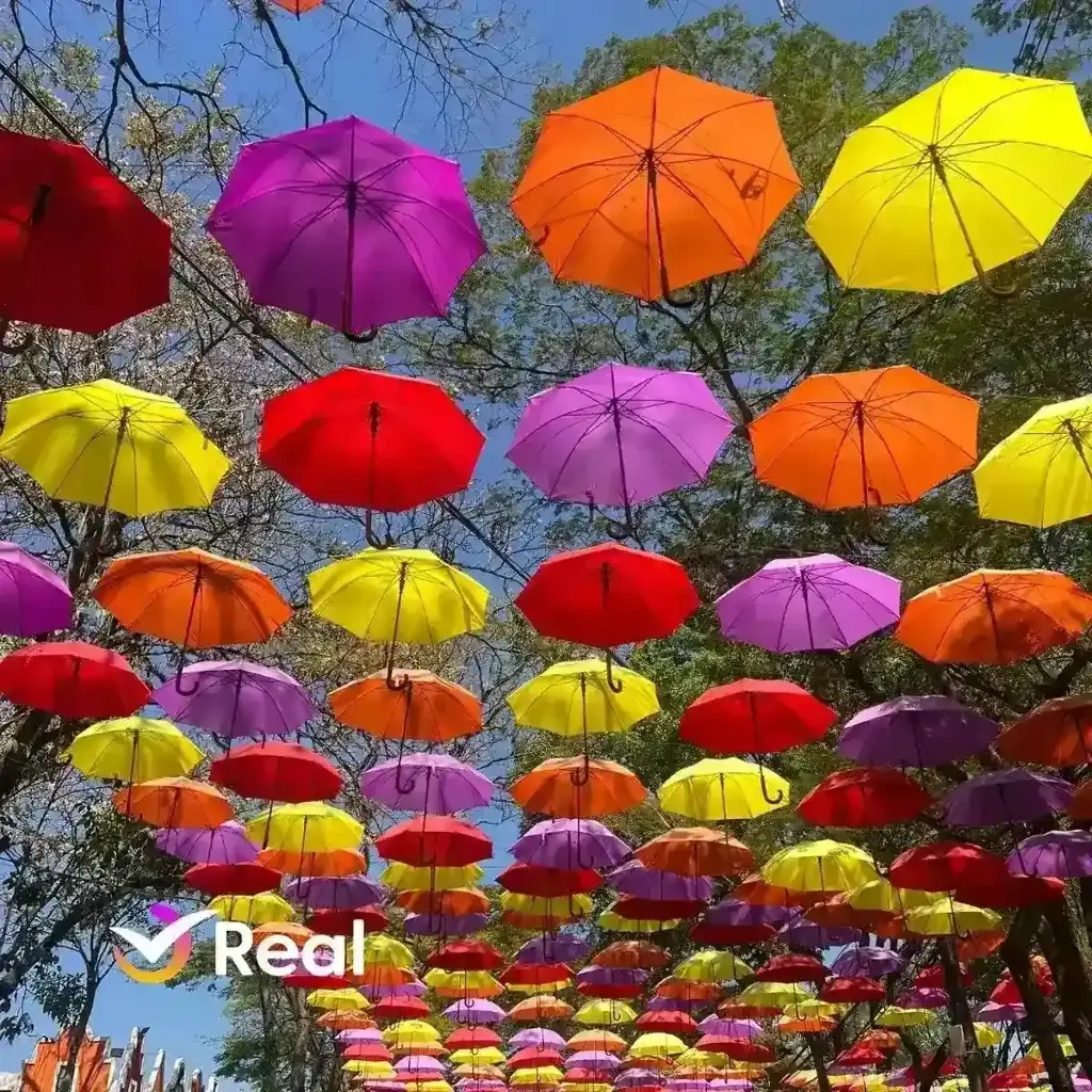 imagem capa do post Expoflora 2025 em Holambra: datas, ingressos e dicas!