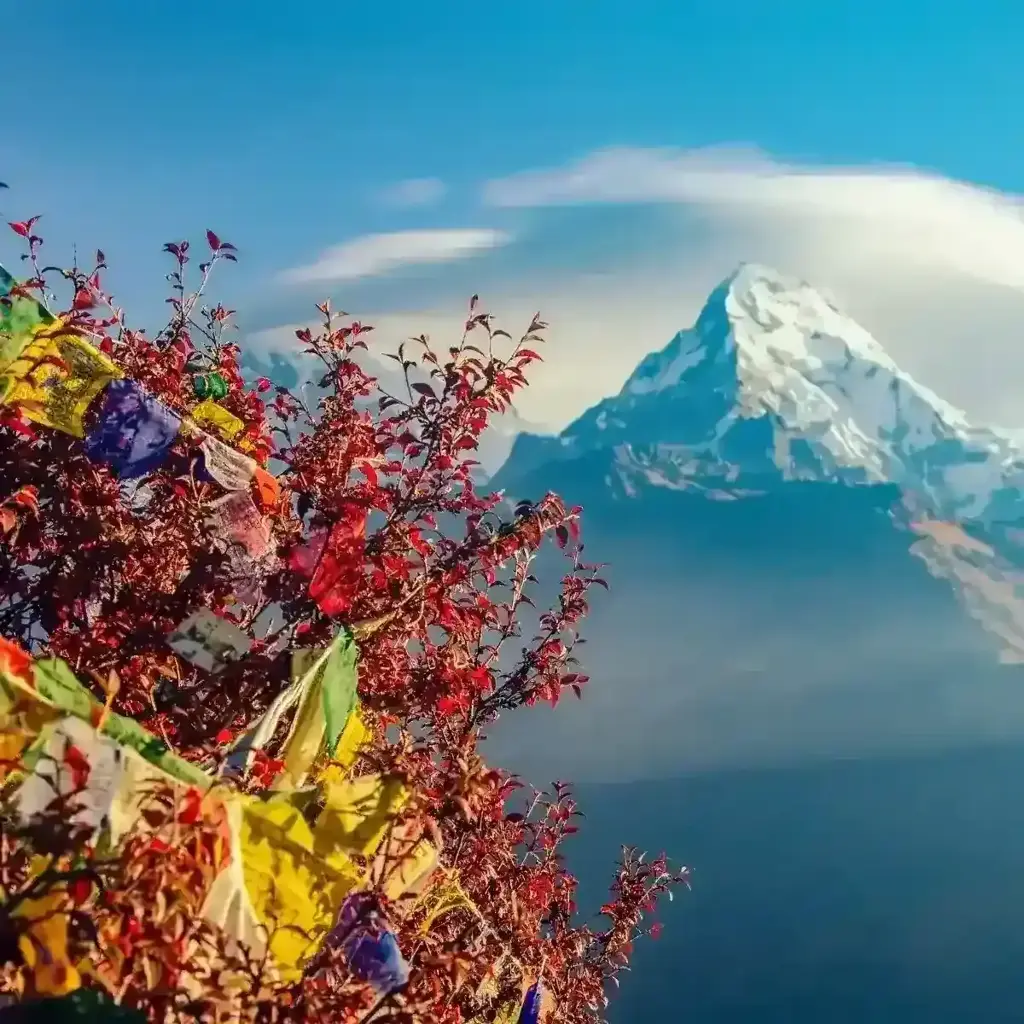 imagem capa do post Nepal: roteiro completo pelo topo do mundo + dicas!