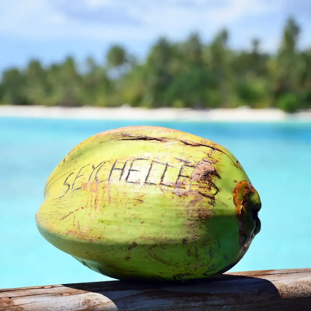 Guia de Seychelles: saiba como chegar e o que fazer nesse paraíso!