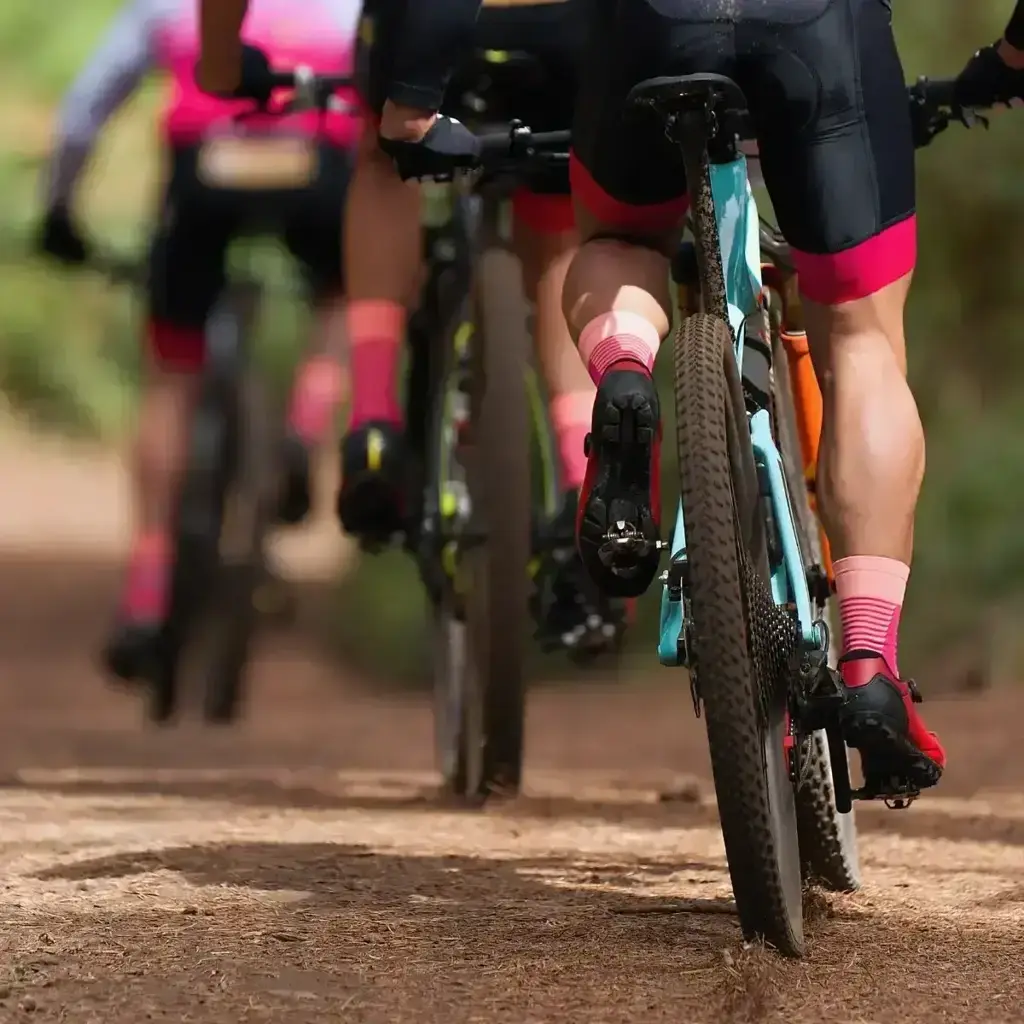 imagem capa do post Cicloturismo: Explore o Brasil de bicicleta!