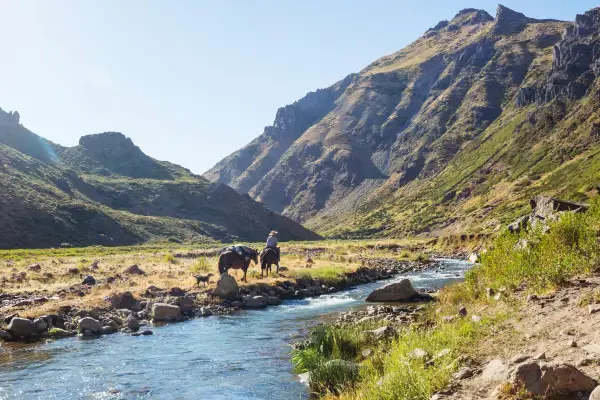 Paisagem do campo, homem montado em um cavalo e um cachorro acompanhando o homem