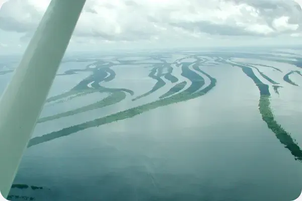 visão aérea das ilhas anavilhanas, amazonia