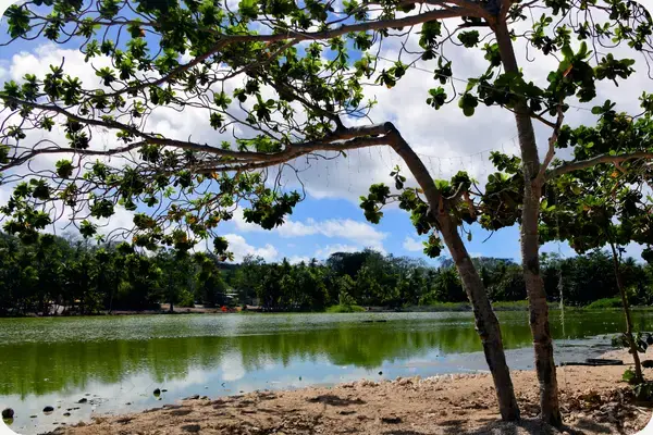 Lagoa Buda, Nauru. (Fonte: Reprodução | Canva Pro)