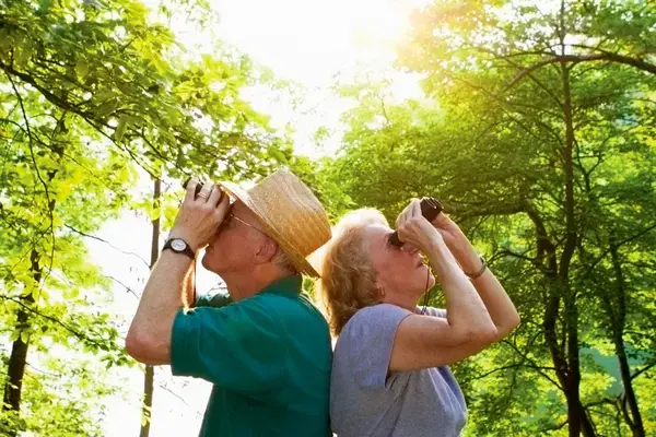 Casal de idosos observando a natureza com binóculos