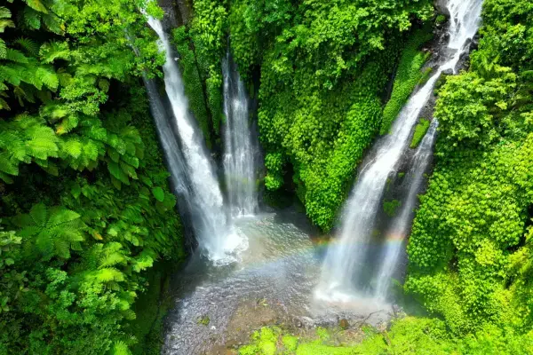 Cachoeira e o verde da natureza das Ilhas Fiji