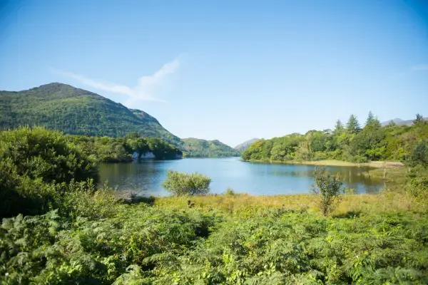 Killarney National Park (Fonte: Canva)